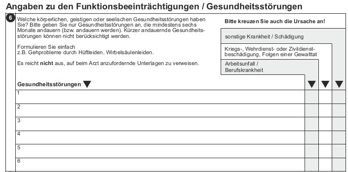 Auszug aus dem Antragsformular zum Schwerbehindertenausweis in Schleswig-Holstein