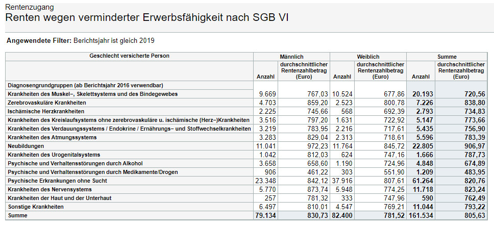 Neuzugänge in der Erwerbsminderungsrente 2019 nach Ursachen