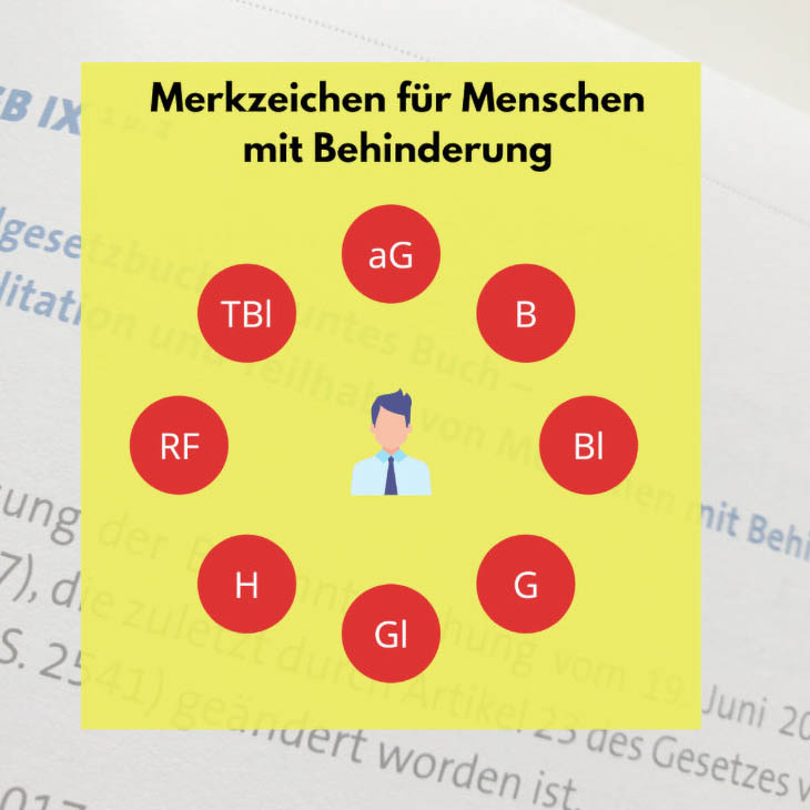 Diese Infografik führt sämtliche Merkzeichen für Menschen mit Behinderung in Kreisform auf.