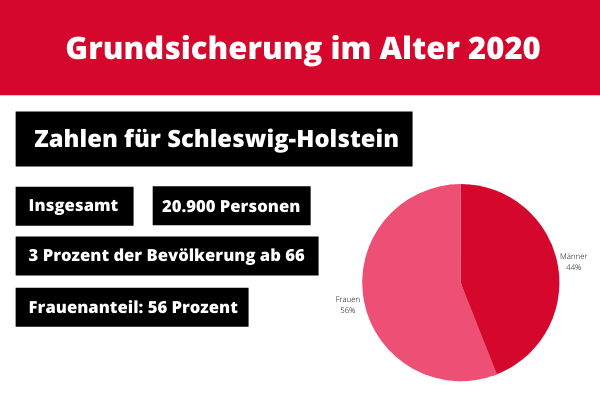 Grundsicherung im Alter - Schleswig-Holstein 2020